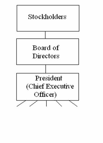 Corporate Structure