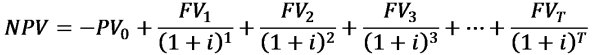 The Net Present Value Equation